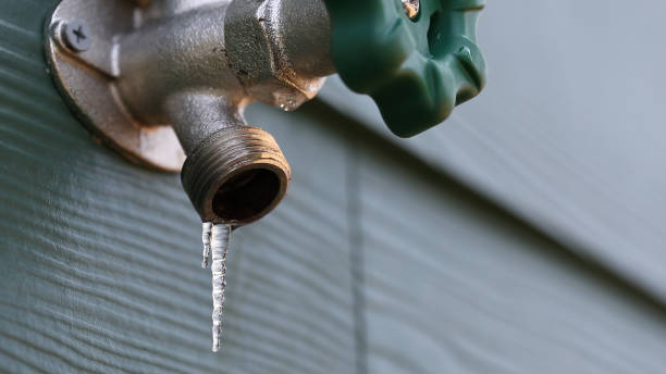 Best Shower Repair Services  in Penn Valley, CA